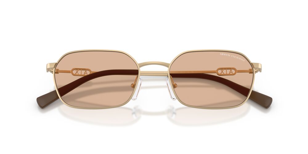 Aros De Sol Armani Exchange AX2056S Matte Pale Gold