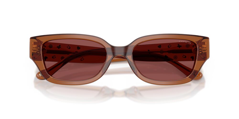 Aros De Sol Coach HC8439U Transparent Brown