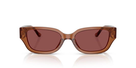 Aros De Sol Coach HC8439U Transparent Brown