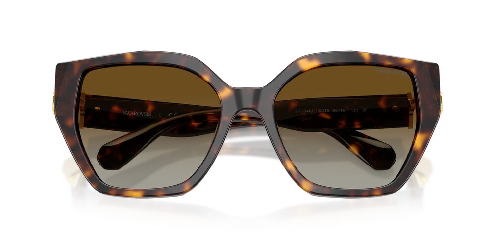 Aros De Sol Swarovski SK6044U Havana