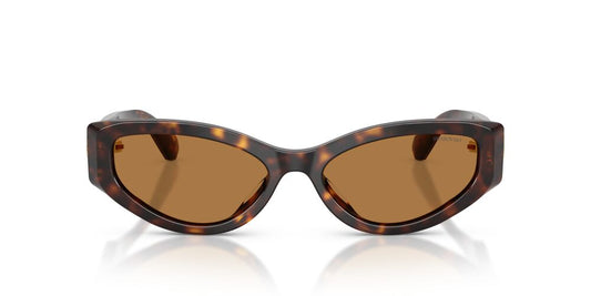 Aros De Sol Swarovski SK6045U Havana