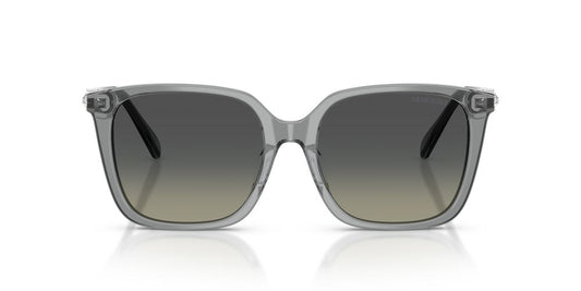 Aros De Sol Swarovski SK6053D Transparent Grey