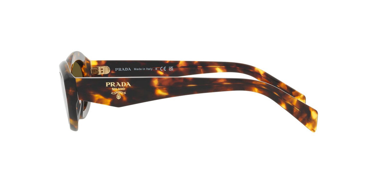 Aros De Sol Prada PR26ZS Sage/Honey Tortoise