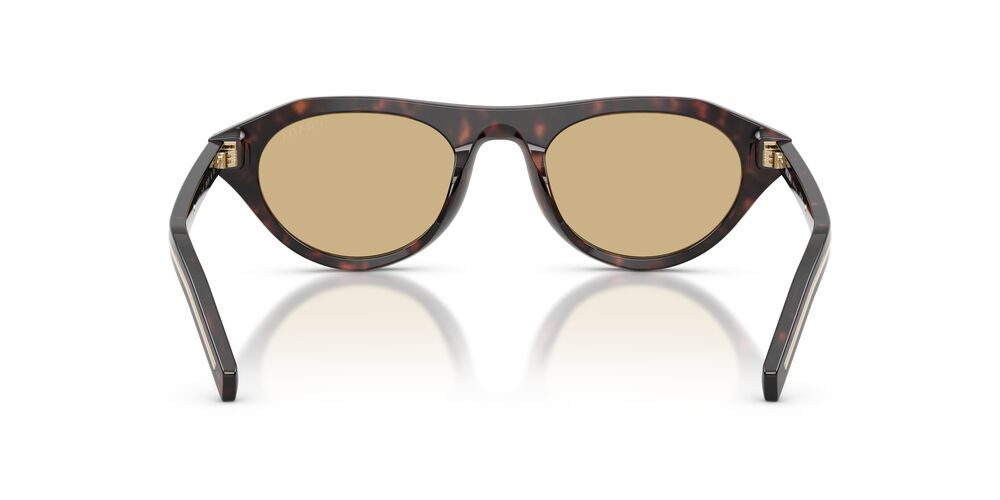 Aros De Sol Prada PRB15S Root Tortoise