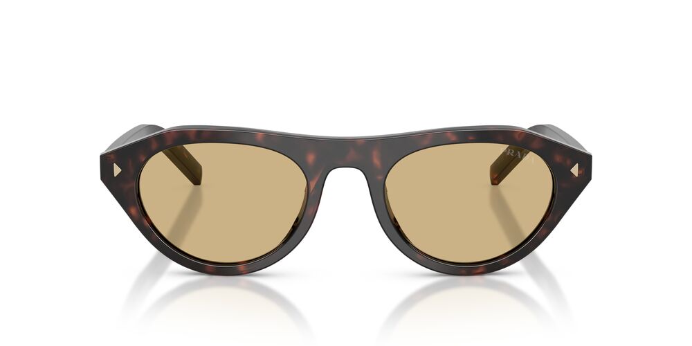 Aros De Sol Prada PRB15S Root Tortoise