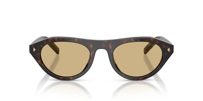 Aros De Sol Prada PRB15S Root Tortoise