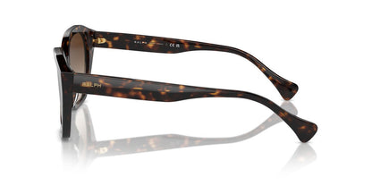 Aros De Sol Ralph Ra5315U Shiny Dark Havana