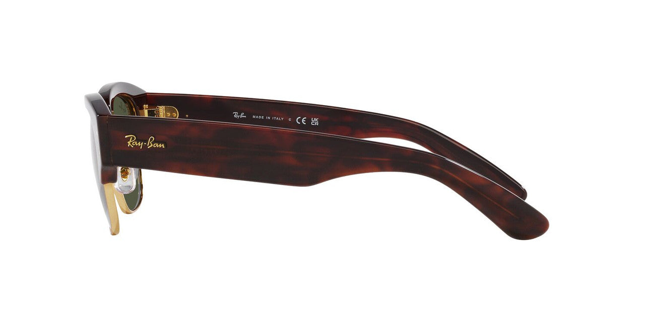Aros De Sol Ray-Ban Rb0316S Mock Tortoise On Arista