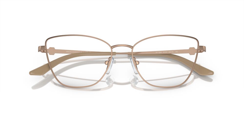 Aros Oftálmicos Armani Exchange Ax1063 Shiny Rose Dorado