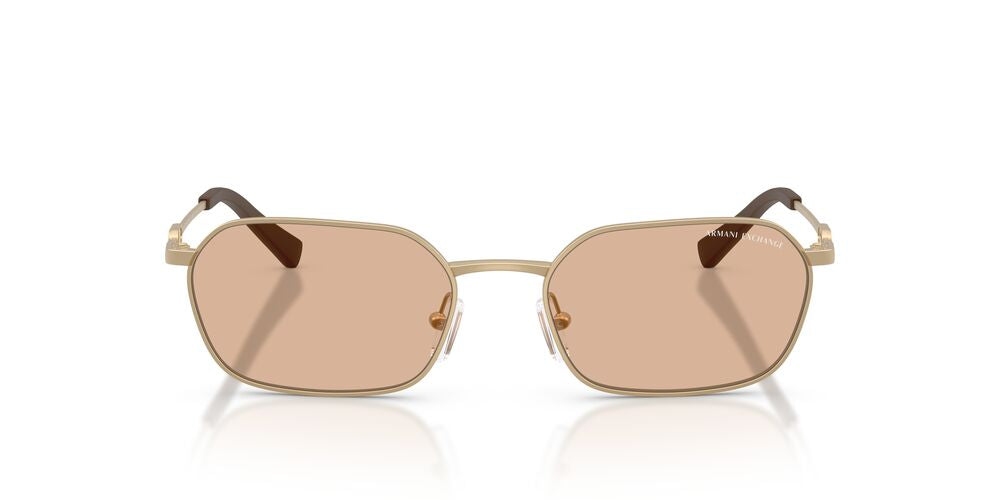 Aros De Sol Armani Exchange AX2056S Matte Pale Gold