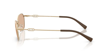 Aros De Sol Armani Exchange AX2056S Matte Pale Gold