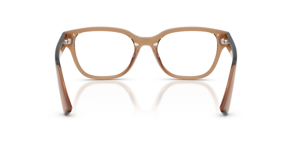 Aros Oftálmicos Armani Exchange Ax3134U Shiny Clear Cafe