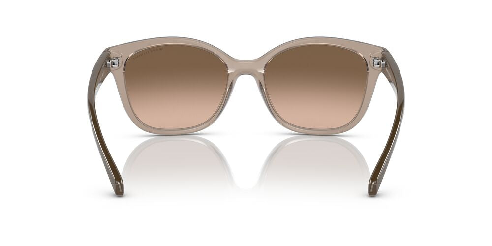 Aros De Sol Armani Exchange Ax4127S Shiny Transparent Tundra