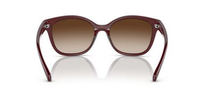 Aros De Sol Armani Exchange Ax4127S Shiny Transparent Red