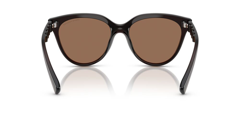 Aros De Sol Armani Exchange Ax4148Su Shiny Transparent Brown