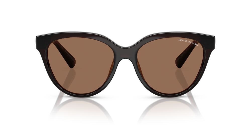 Aros De Sol Armani Exchange Ax4148Su Shiny Transparent Brown