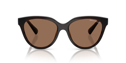 Aros De Sol Armani Exchange Ax4148Su Shiny Transparent Brown
