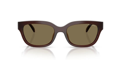 Aros De Sol Armani Exchange Ax4155Su Shiny Opal Brown
