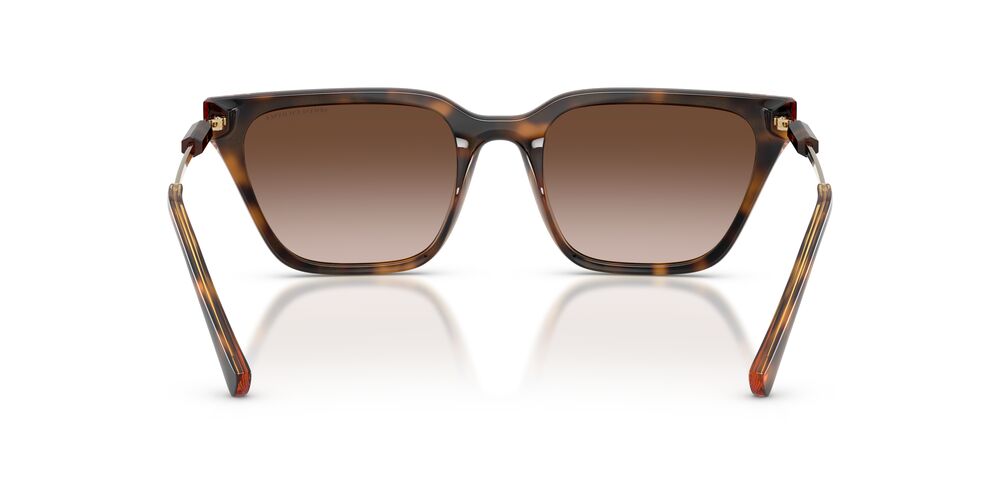 Aros De Sol Armani Exchange Ax4158S Shiny Havana
