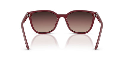 Aros De Sol Armani Exchange AX4168S Shiny Bordeaux