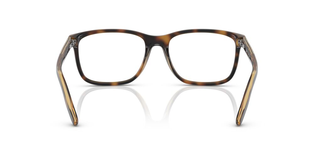 Aros Oftálmicos Chaps Cp3050 Shiny Oscuro Havana