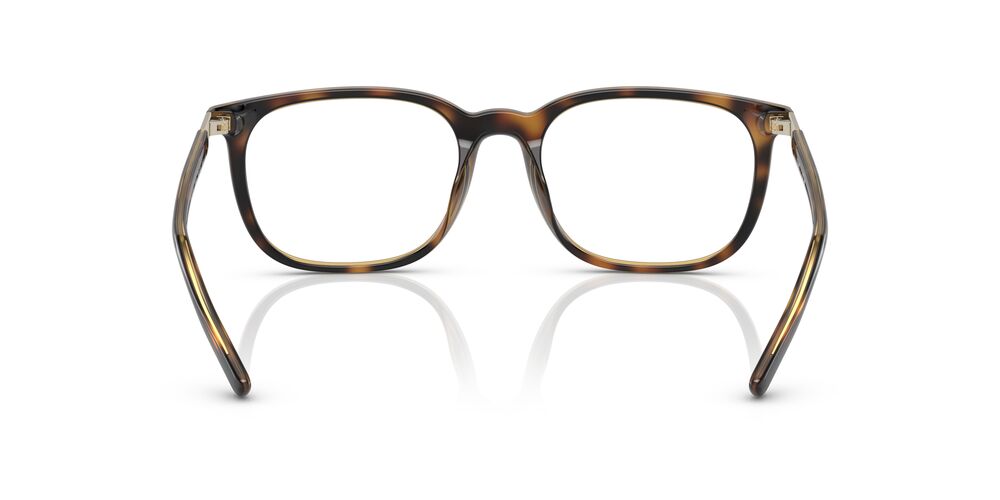 Aros Oftálmicos Chaps Cp3062U Shiny Oscuro Havana