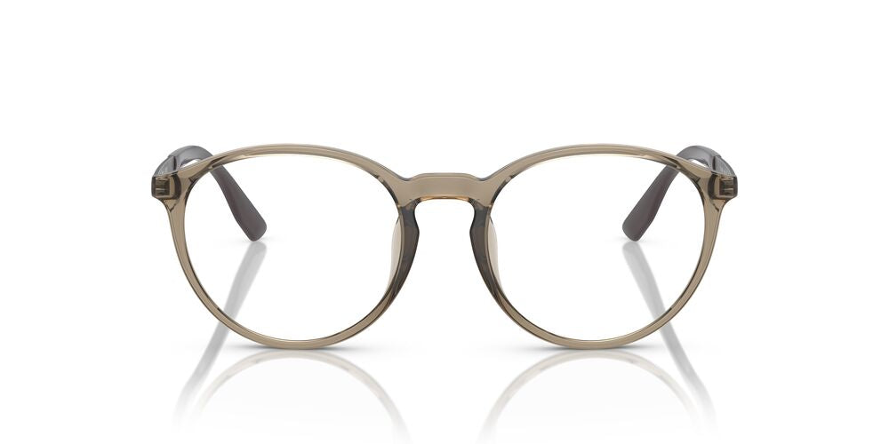 Aros Oftálmicos Chaps Cp3065U Shiny Clear Cafe