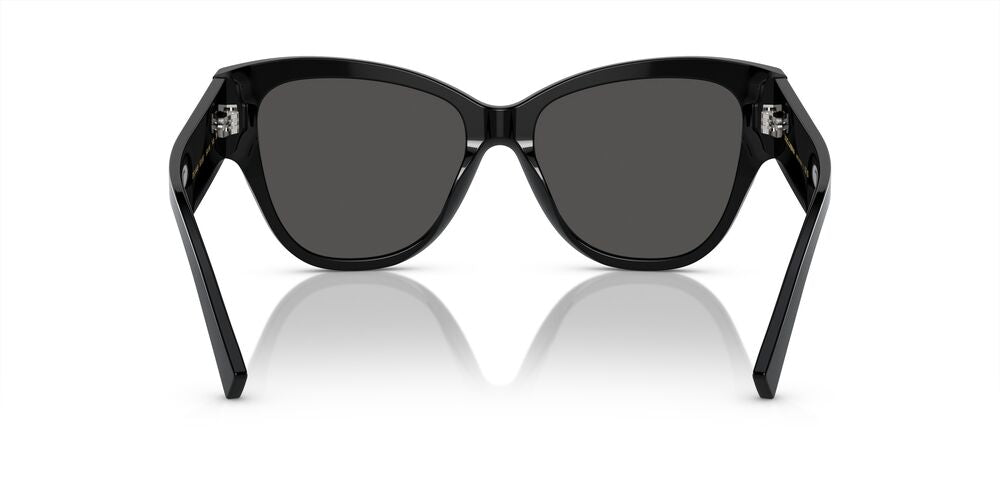 Aros De Sol Dolce & Gabbana Dg4449 Black