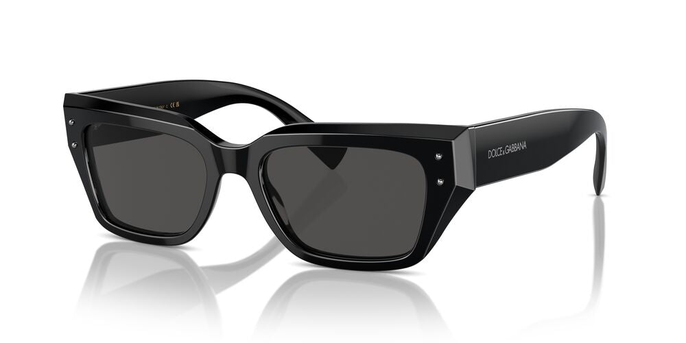 Aros De Sol Dolce & Gabbana Dg4462 Black