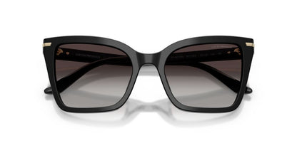 Aros De Sol Emporio Armani EA4273B Shiny Black