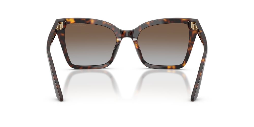 Aros De Sol Emporio Armani EA4273B Shiny Havana
