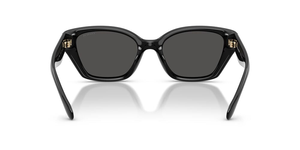 Aros De Sol Coach HC8434U Black