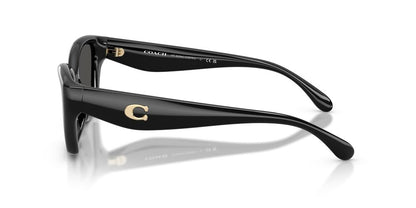 Aros De Sol Coach HC8434U Black