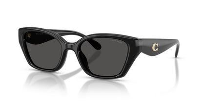 Aros De Sol Coach HC8434U Black