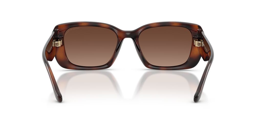 Aros De Sol Coach HC8435U Dark Tortoise