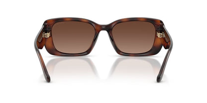 Aros De Sol Coach HC8435U Dark Tortoise