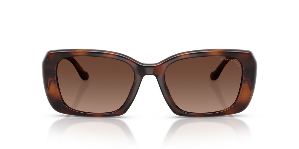 Aros De Sol Coach HC8435U Dark Tortoise
