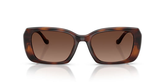 Aros De Sol Coach HC8435U Dark Tortoise