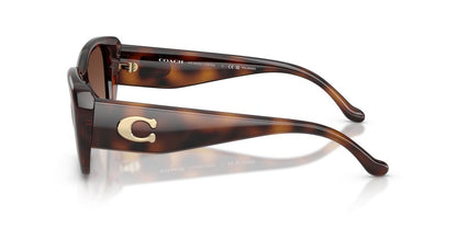 Aros De Sol Coach HC8435U Dark Tortoise