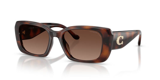 Aros De Sol Coach HC8435U Dark Tortoise
