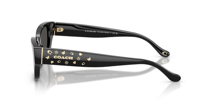 Aros De Sol Coach HC8439U Black