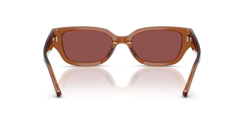 Aros De Sol Coach HC8439U Transparent Brown