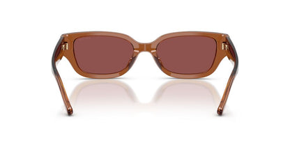 Aros De Sol Coach HC8439U Transparent Brown