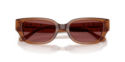 Aros De Sol Coach HC8439U Transparent Brown
