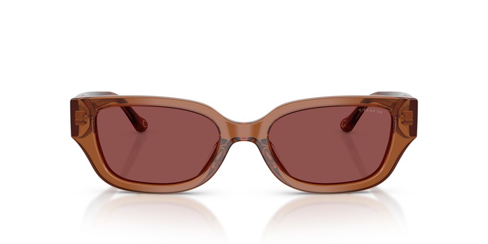 Aros De Sol Coach HC8439U Transparent Brown