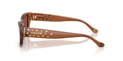 Aros De Sol Coach HC8439U Transparent Brown