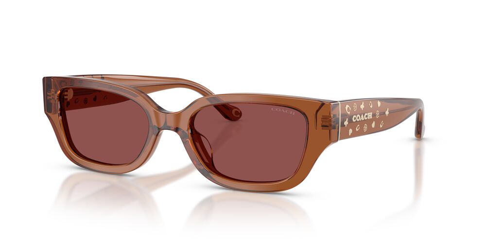 Aros De Sol Coach HC8439U Transparent Brown