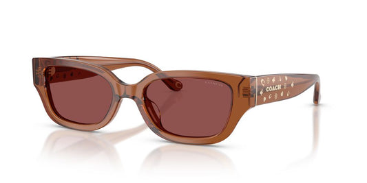 Aros De Sol Coach HC8439U Transparent Brown