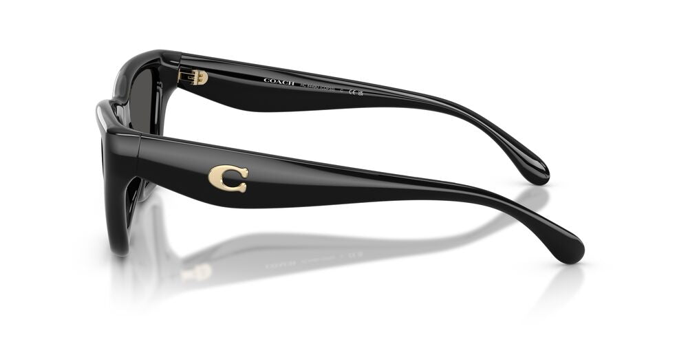 Aros De Sol Coach HC8449U Black