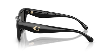 Aros De Sol Coach HC8449U Black